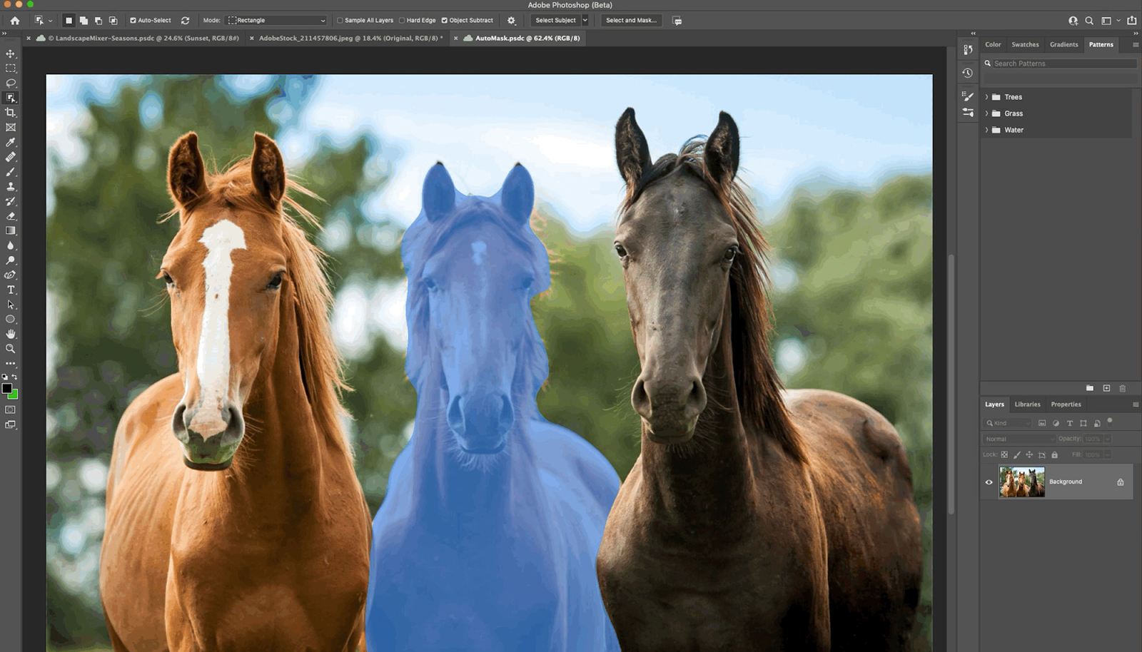 Three horses on a screen